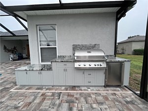 Dolphin Gray